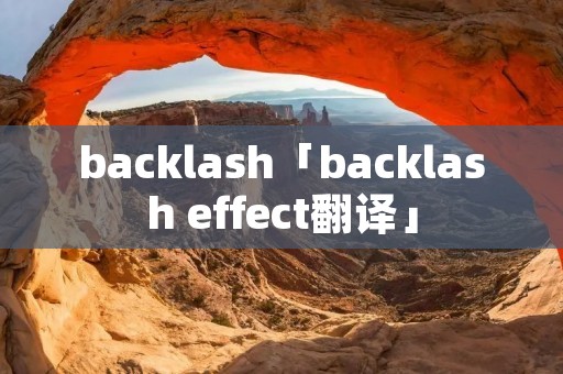 backlash「backlash effect翻译」