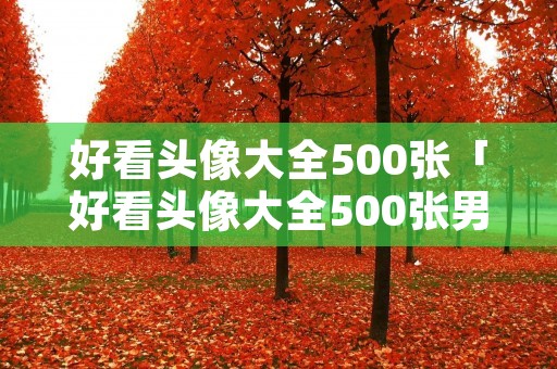 好看头像大全500张「好看头像大全500张男」