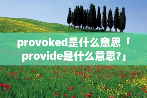 provoked是什么意思「provide是什么意思?」 provoked是什么意思「provide是什么意思?」