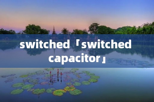 switched「switched capacitor」