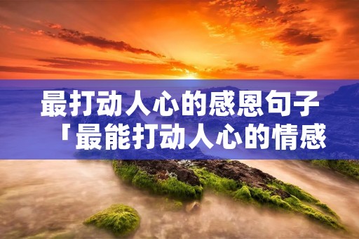 最打动人心的感恩句子「最能打动人心的情感话」