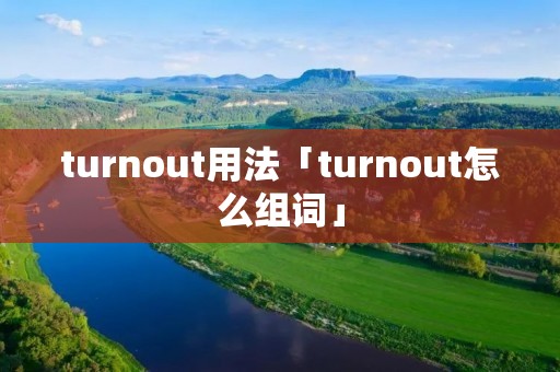 turnout用法「turnout怎么组词」