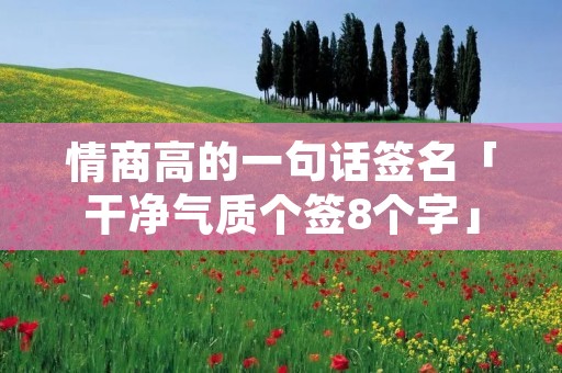 情商高的一句话签名「干净气质个签8个字」