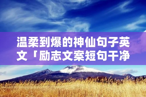温柔到爆的神仙句子英文「励志文案短句干净治愈」