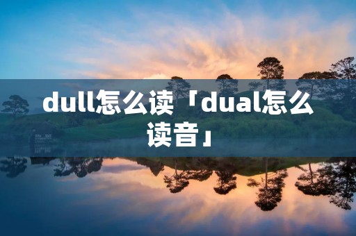 dull怎么读「dual怎么读音」