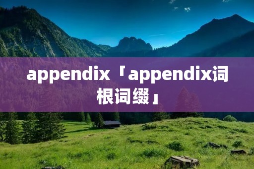 appendix「appendix词根词缀」