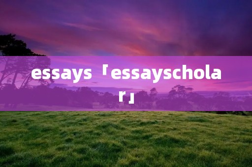 essays「essayscholar」