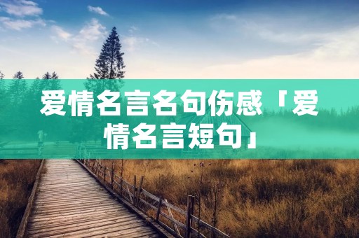 爱情名言名句伤感「爱情名言短句」