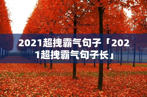 2021超拽霸气句子「2021超拽霸气句子长」