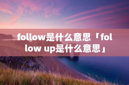 follow是什么意思「follow up是什么意思」
