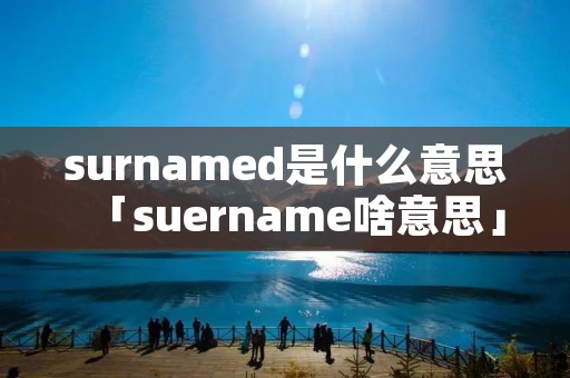 surnamed是什么意思「suername啥意思」