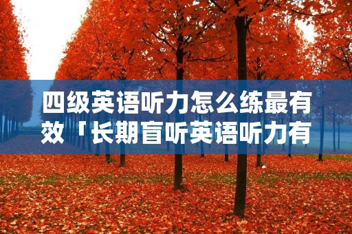 四级英语听力怎么练最有效「长期盲听英语听力有用吗」