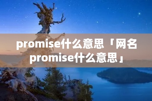 promise什么意思「网名promise什么意思」
