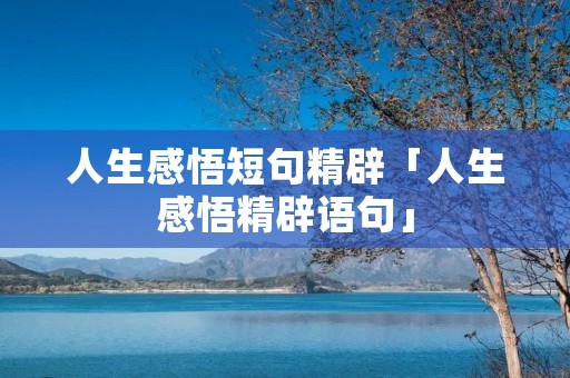 人生感悟短句精辟「人生感悟精辟语句」