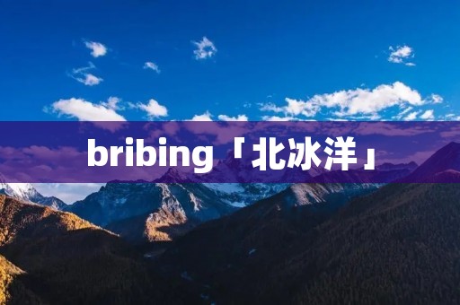 bribing「北冰洋」