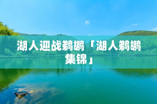 湖人迎战鹈鹕「湖人鹈鹕集锦」