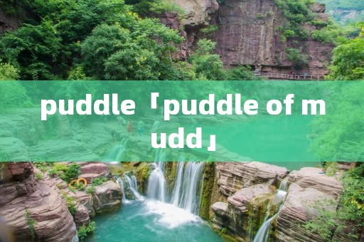 puddle「puddle of mudd」