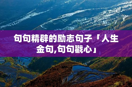 句句精辟的励志句子「人生金句,句句戳心」