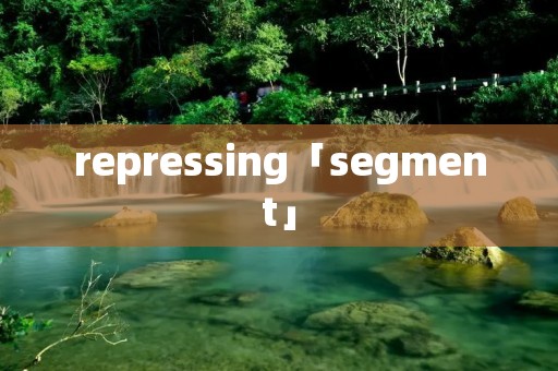 repressing「segment」 repressing「segment」