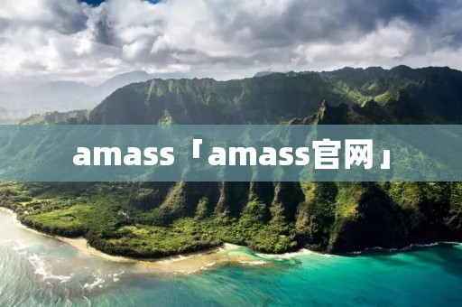 amass「amass官网」