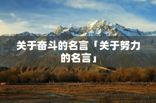 关于奋斗的名言「关于努力的名言」