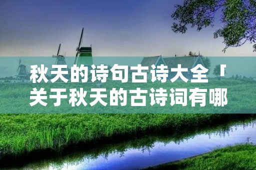秋天的诗句古诗大全「关于秋天的古诗词有哪些」