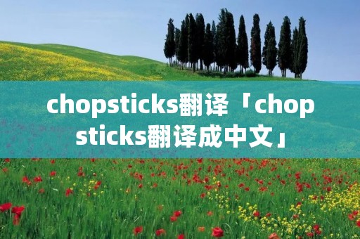 chopsticks翻译「chopsticks翻译成中文」