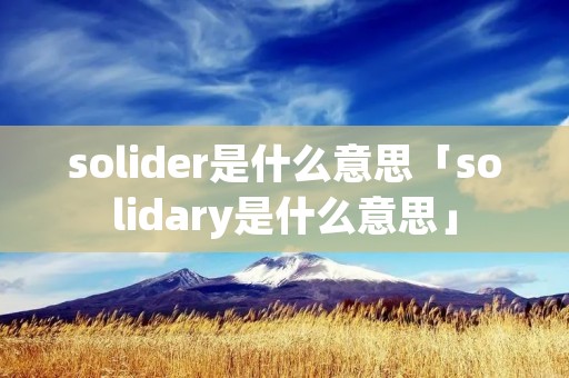 solider是什么意思「solidary是什么意思」