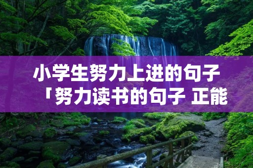 小学生努力上进的句子「努力读书的句子 正能量」