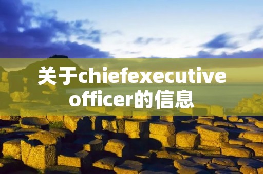 关于chiefexecutiveofficer的信息 关于chiefexecutiveofficer的信息