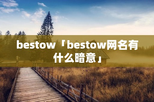 bestow「bestow网名有什么暗意」