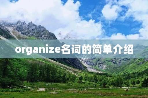 organize名词的简单介绍