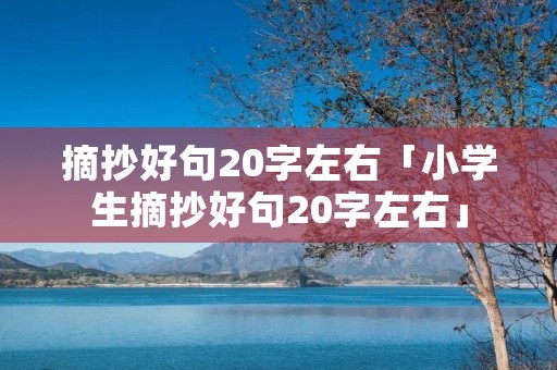 摘抄好句20字左右「小学生摘抄好句20字左右」