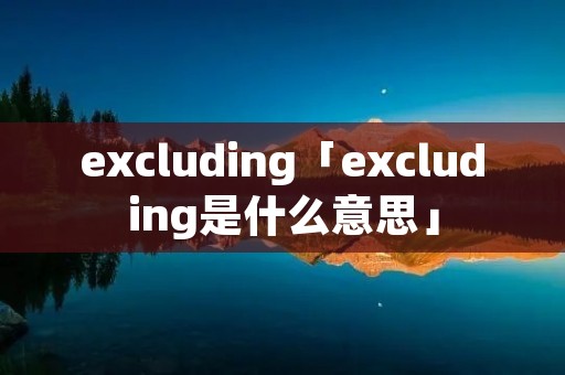 excluding「excluding是什么意思」