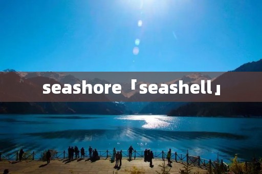 seashore「seashell」