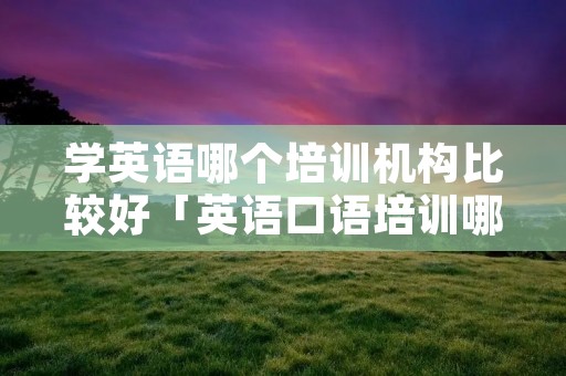 学英语哪个培训机构比较好「英语口语培训哪个机构比较好」