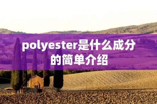 polyester是什么成分的简单介绍