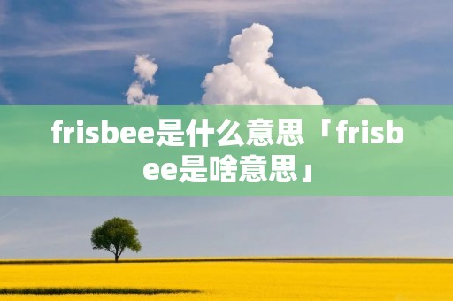 frisbee是什么意思「frisbee是啥意思」