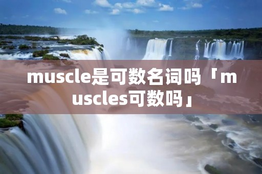 muscle是可数名词吗「muscles可数吗」 muscle是可数名词吗「muscles可数吗」