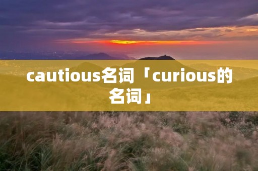 cautious名词「curious的名词」