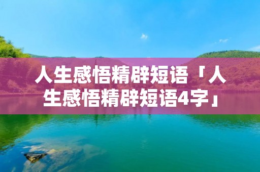 人生感悟精辟短语「人生感悟精辟短语4字」