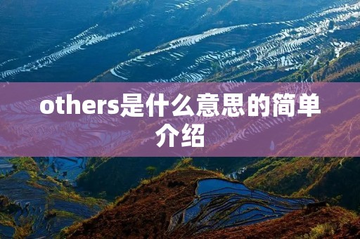 others是什么意思的简单介绍