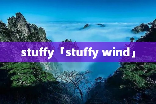 stuffy「stuffy wind」
