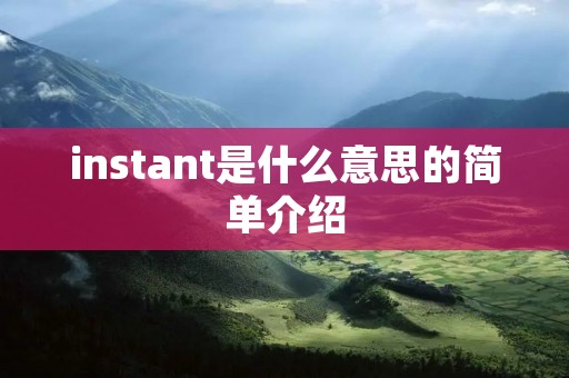 instant是什么意思的简单介绍