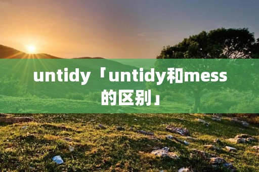 untidy「untidy和mess的区别」