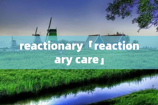 reactionary「reactionary care」