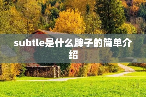 subtle是什么牌子的简单介绍