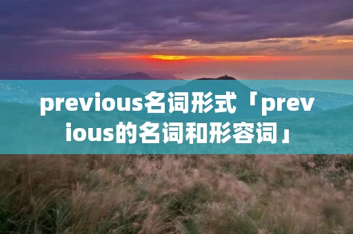 previous名词形式「previous的名词和形容词」