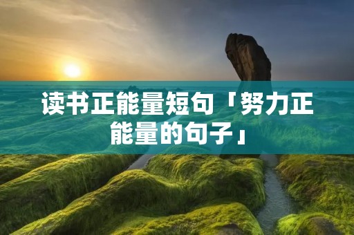读书正能量短句「努力正能量的句子」