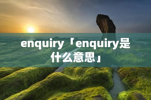 enquiry「enquiry是什么意思」